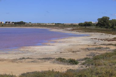 La Laguna Salada de la Mata y Torrevieja Doğal Parkı.