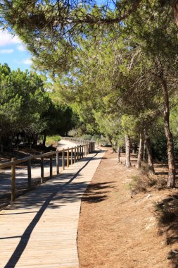 La Laguna Salada de la Mata y Torrevieja Doğal Parkı 'nda sergilenecek..