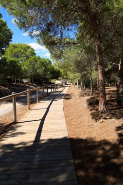 La Laguna Salada de la Mata y Torrevieja Doğal Parkı 'nda sergilenecek..