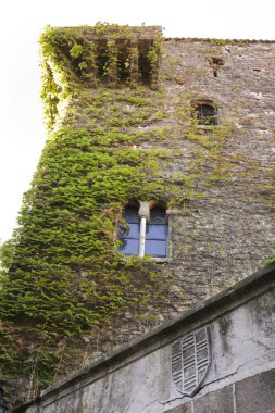 Eski şehir Caceres 'in güzel sarmaşıklarıyla kaplı Sande Kulesi.