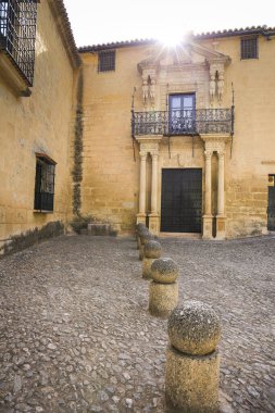Ronda, Malaga, İspanya 21 Ekim 2023 Ronda 'daki Salvatierra Markizi Sarayı' nın mimari detayları.