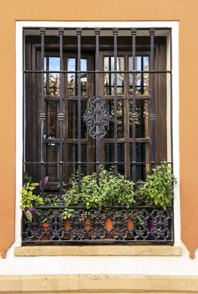 Window with wrought iron lattice of typical whitewashed house in Ronda
