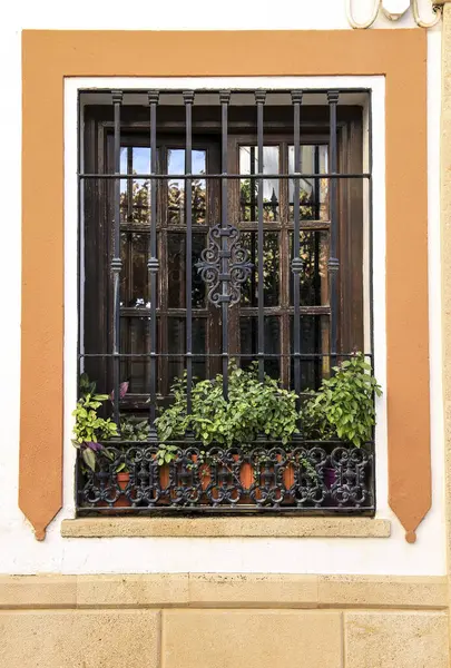 Window with wrought iron lattice of typical whitewashed house in Ronda