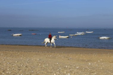 Sanlucar de Barrameda, Cadiz, İspanya - 21 Ekim 2023: Güneşli bir günde Sanlucar de Barrameda kasabasında Las Piletas plajı boyunca beyaz atlı bir binici