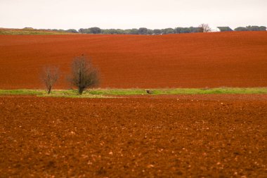 Cuenca bölgesinde ekilen renkli tarlalar, İspanya