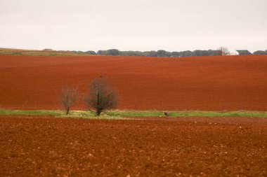 Cuenca bölgesinde ekilen renkli tarlalar, İspanya