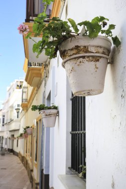 Rota, Cadiz, İspanya 10 Ekim 2023 Rota 'da sardunyalarla dolu dar sokaklar ve beyazlatılmış cepheler.