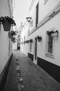 Rota, Cadiz, İspanya 10 Ekim 2023 Rota 'da sardunyalarla dolu dar sokaklar ve beyazlatılmış cepheler.