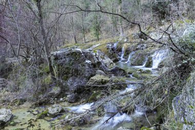 Albacete, Sierra de Alcaraz, İspanya 'daki Nacimiento del Rio Mundo Şelalesi