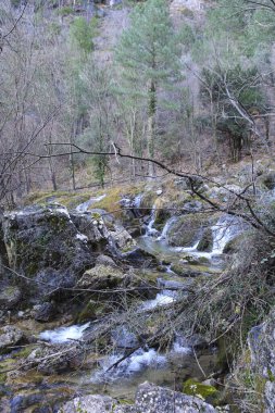 Albacete, Sierra de Alcaraz, İspanya 'daki Nacimiento del Rio Mundo Şelalesi