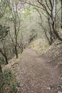 İspanya 'nın Albacete eyaletindeki Sierra de Alcaraz' da Nacimiento del Rio Mundo 'da yürüyüş rotası