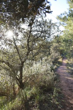 İspanya 'nın Albacete eyaletindeki Nacimiento del Rio Mundo yakınlarında güzel bir manzara.