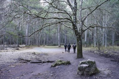 Albacete, Kastilya-La Mancha, İspanya - 2 Şubat 2024: İspanya 'nın Albacete eyaleti Nacimiento del Rio Mundo yakınlarında güzel bir arazide yürüyüş yapan genç yürüyüşçüler
