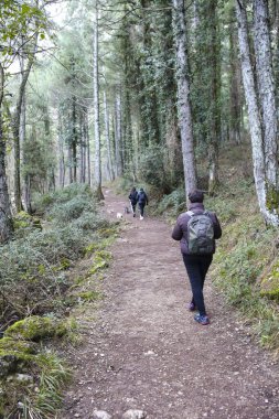 Albacete, Kastilya-La Mancha, İspanya - 2 Şubat 2024: Genç yürüyüşçüler Sierra de Cazorla y Segura doğal parkında Pinus Nigra ormanında yürüyüş yapıyorlar
