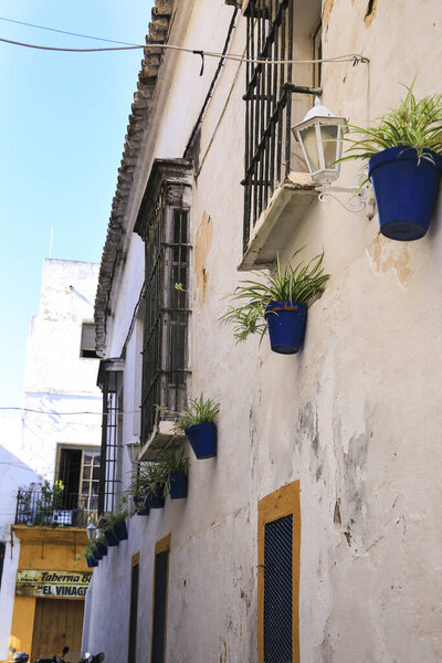 Sanlucar de Barrameda, Cadiz, Spain- October 2, 2023: Typical narrow street with hanging pots in Sanlucar de Barrameda, Cadiz, Spain