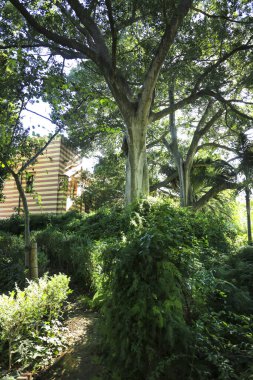 Sanlucar de Barrameda, Cadiz, İspanya - 2 Ekim 2023: Sanlucar de Barrameda şehrindeki Orleans-Borbon Sarayı ve bahçeleri