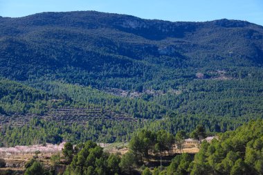 Alcoy, Alicante, İspanya 'daki Sierra de Mariola dağlık arazisi