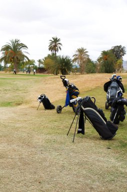 Elche, Alicante, İspanya - 10 Ocak 2024 Çimlerin üzerinde golf çantaları