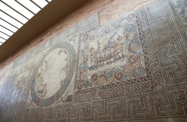 Merida, Extremadura, İspanya - 23 Ekim 2023: Merida kentindeki Ulusal Roma Sanat Müzesinde Mozaikler sergilendi