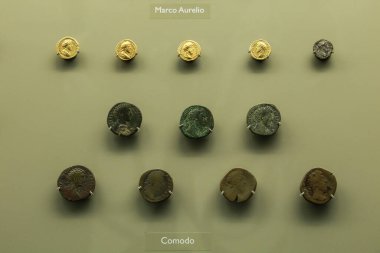 Merida, Extremadura, İspanya - 23 Ekim 2023: Merida şehrindeki Ulusal Roma Sanat Müzesi 'nde sergilenen farklı imparatorların altın, gümüş ve bronz sikkeleri