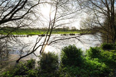 Avon Nehri İngiltere 'nin Salisbury şehrindeki kıyılarını patlattı.