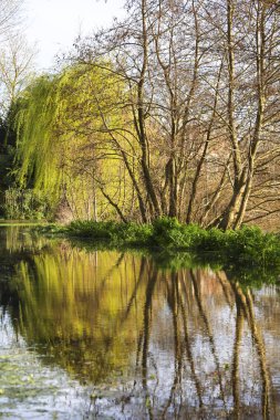 Avon Nehri İngiltere 'nin Salisbury şehrindeki Kraliçe Elizabeth Gardens' ta kıyılarını patlattı.