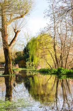 Avon Nehri İngiltere 'nin Salisbury şehrindeki Kraliçe Elizabeth Gardens' ta kıyılarını patlattı.