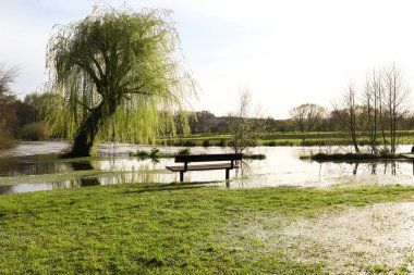 Avon Nehri İngiltere 'nin Salisbury şehrindeki Kraliçe Elizabeth Gardens' ta kıyılarını patlattı.