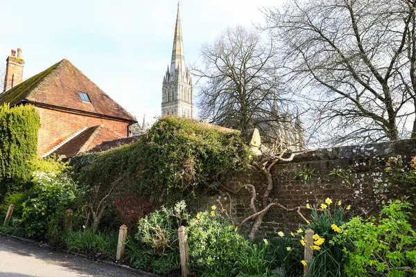 Salisbury 'de güzel evler ve bahçeler. Arkadaki Salisbury Katedrali.