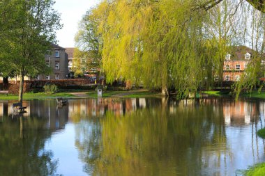 Salisbury, İngiltere - 29 Mart 2024: Avon Nehri İngiltere 'nin Salisbury kentindeki Kraliçe Elizabeth Gardens' ta kıyılarını patlattı