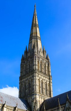 Salisbury, İngiltere - 29 Mart 2024: Güzel Salisbury Katedrali Açık bir bahar gününde
