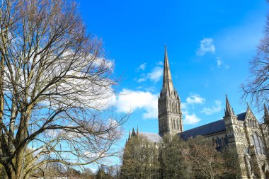 Güzel Salisbury Katedrali Açık bir bahar gününde