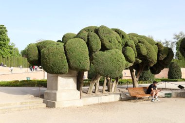 Madrid, İspanya - 8 Nisan 2024 Madrid 'deki El Retiro Park' taki Güzel Parterre Bahçesi