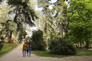 Madrid, İspanya - 8 Nisan 2024: Madrid 'de renkli Aesculus Hippocastanum ağaçlarıyla El Retiro Park' ın güzel bahçeleri