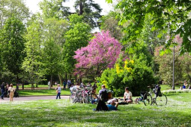 Madrid, İspanya - 8 Nisan 2024: Güneşli bir bahar gününde El Retiro Park 'ın güzel bahçelerinde dinlenen insanlar