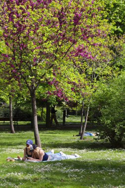 Madrid, İspanya - 8 Nisan 2024: Güneşli bir bahar gününde El Retiro Park 'ın güzel bahçelerinde dinlenen insanlar