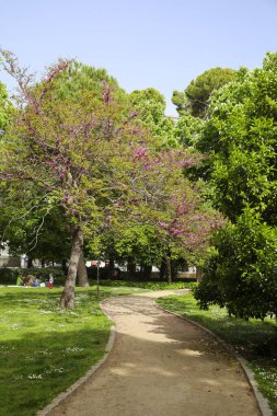 Madrid, İspanya - 8 Nisan 2024: güneşli bir bahar gününde El Retiro Park 'ın güzel bahçeleri