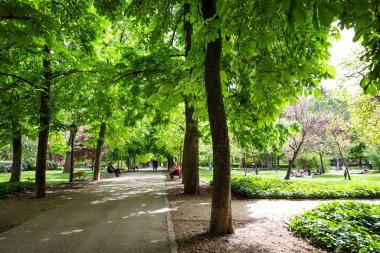 Madrid, İspanya - 8 Nisan 2024: Güneşli bir bahar gününde El Retiro Park 'ın güzel bahçelerinde dinlenen insanlar