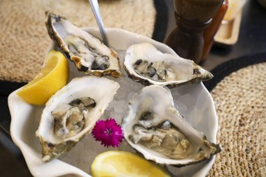 Fransız Gillardeau istiridye tabağı bir restoranda
