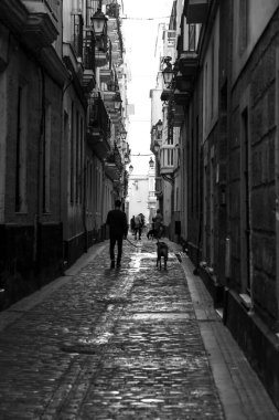 Cadiz, Endülüs, İspanya - 2 Ekim 2023: Tipik dar sokaklar ve İspanya 'nın Cadiz şehrinde güzel evler