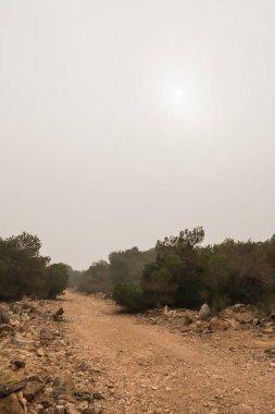 İspanya 'da sabah sisle kaplı güzel dağ manzarası