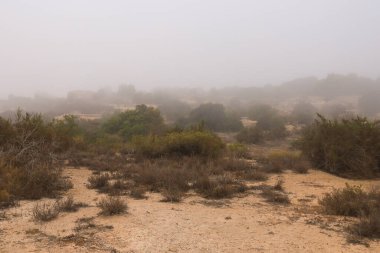 İspanya 'da sabah sisle kaplı güzel dağ manzarası