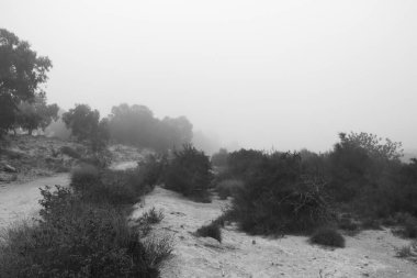 İspanya 'da sabah sisle kaplı güzel dağ manzarası