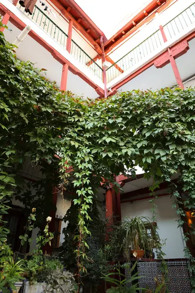 stock image Typical Patio of traditional house called Corralas in Aranjuez town, Madrid, Spain