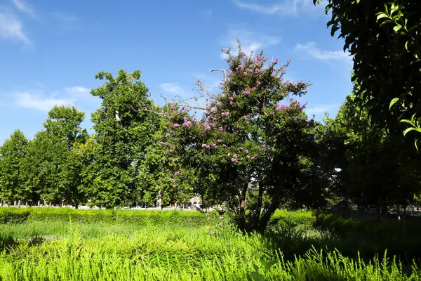 stock image Beautiful Elizabeth II gardens in Aranjuez town, Madrid