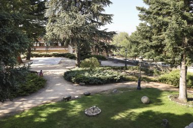 İspanya 'nın eski Avila şehrinin duvarlarının yanında görkemli çam ağaçları olan güzel bir park.