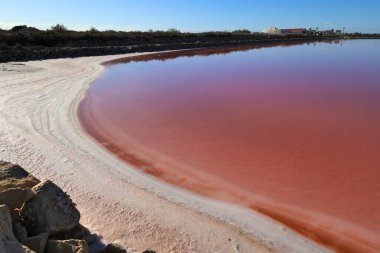 Santa Pola kasabası Alicante, İspanya 'nın doğal parkında güzel bir manzara.