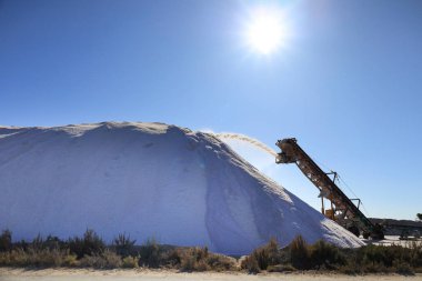 Santa Pola, Alicante, Spain- October 20, 2024: Harvester throwing salt in the Mountain of salt in the Saltworks in the natural park of Santa Pola town, Alicante, Spain clipart