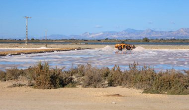 Santa Pola, Alicante, İspanya - 20 Ekim 2024: Santa Pola kasabasının doğal parkında tuz toplama