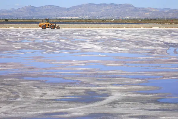 Santa Pola, Alicante, İspanya - 20 Ekim 2024: Santa Pola kasabasının doğal parkında tuz toplama